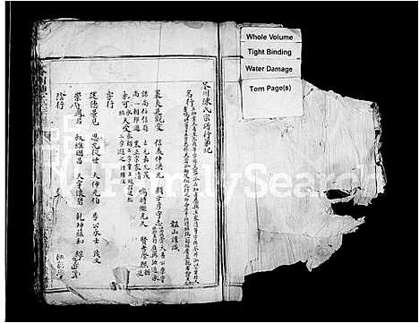 卷页/浙江.苓川陈氏宗谱_.pdf