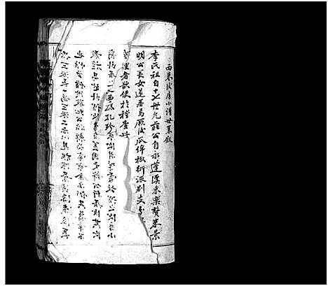 浙江.西洙李氏房谱_不分卷_一.pdf