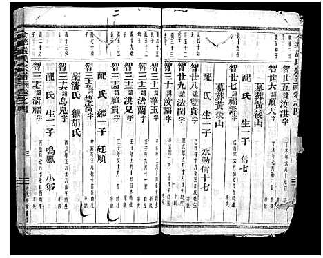 浙江.金华严氏宗谱_4卷_四.pdf