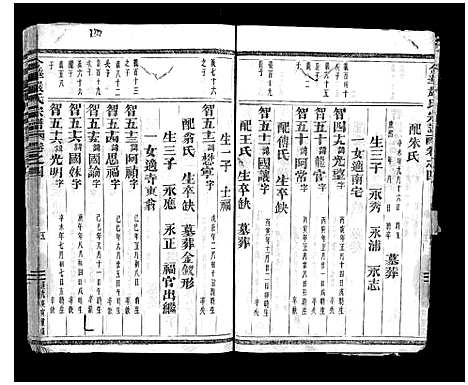 浙江.金华严氏宗谱_4卷_四.pdf