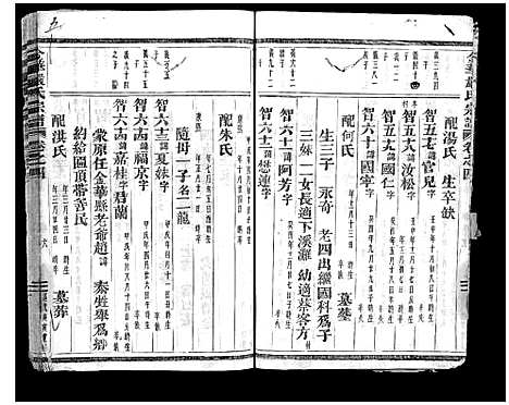 浙江.金华严氏宗谱_4卷_四.pdf